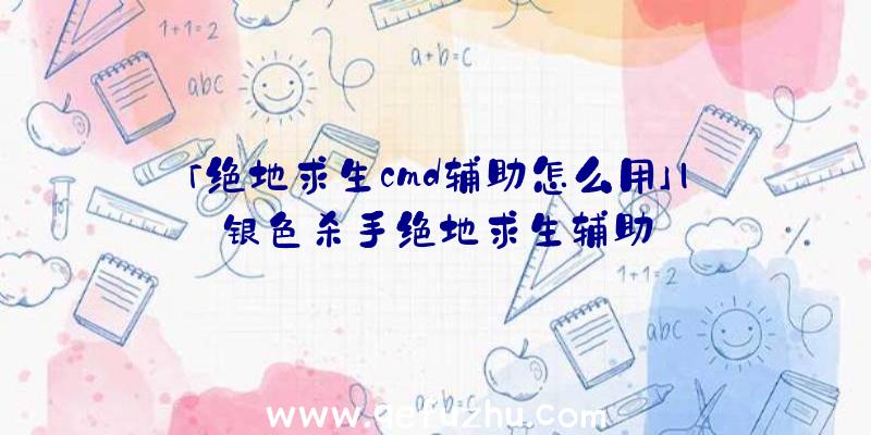 「绝地求生cmd辅助怎么用」|银色杀手绝地求生辅助